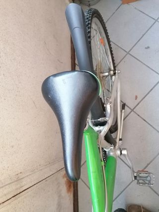 Bicicletta Mountain bike 