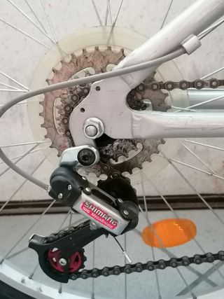 Bicicletta Mountain bike 