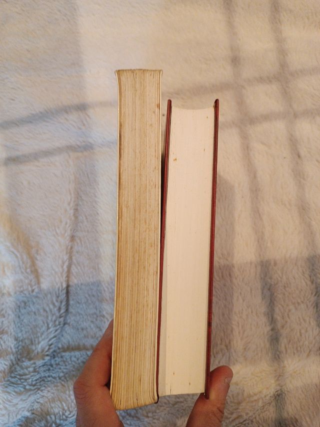 Lote libros Umberto Eco