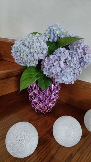 Vaso design 