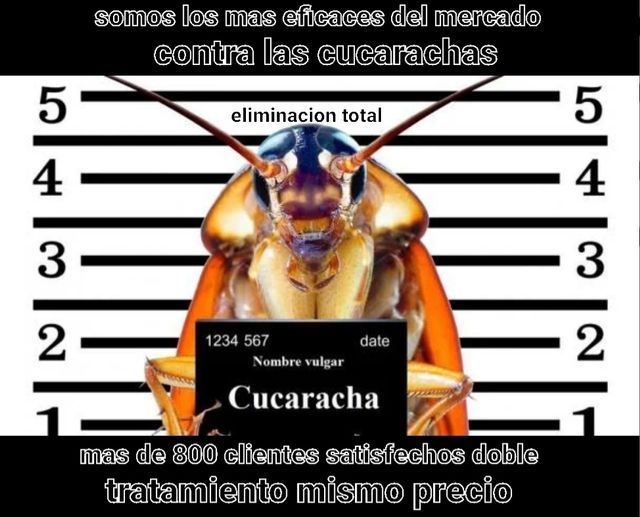 control plagas eliminacion total cucarachas etc