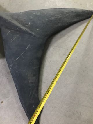 Cabeza y cola impresionantes Tiburon Blanco