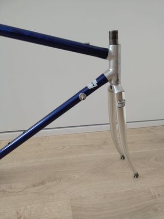 Cuadro VITUS Dural 979 Talla 51