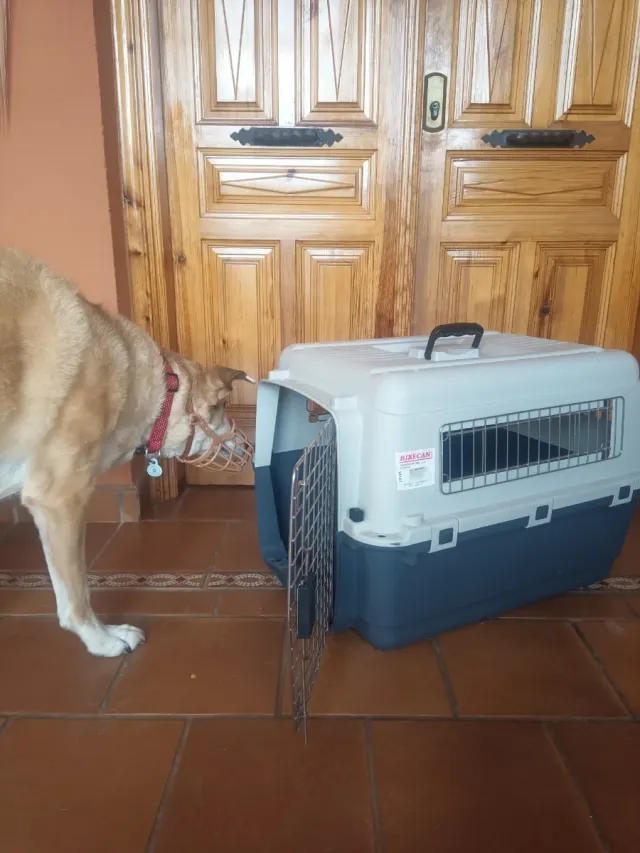 Transportín para perros