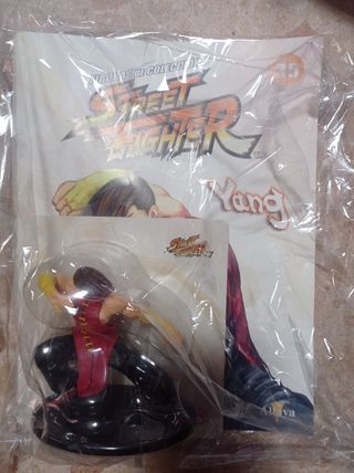 Yang Street fighter 35
