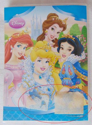 Album Portafoto Le Principesse Disney