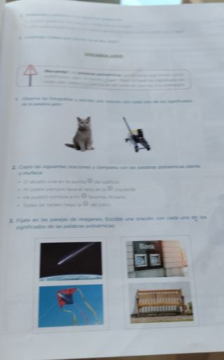 Libro Lengua 5°EPAnaya proyecto Rutas