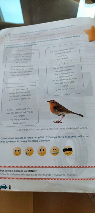 Libro Lengua 5°EPAnaya proyecto Rutas