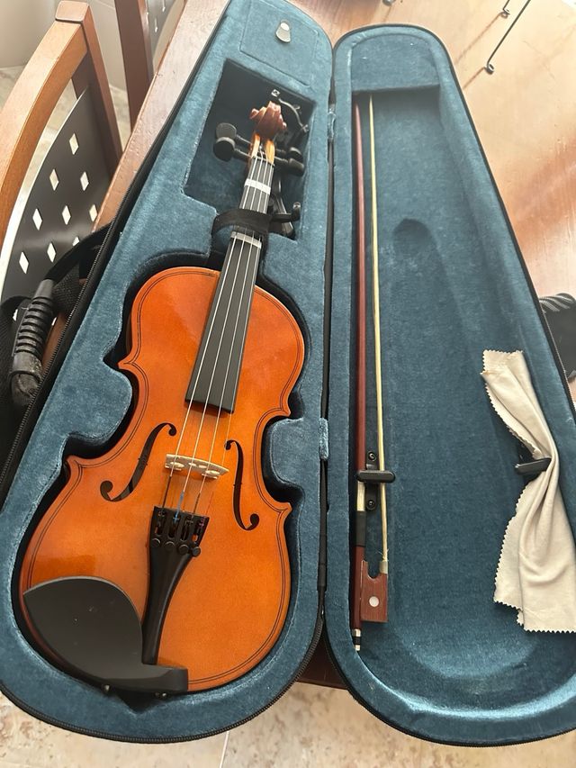 Violin