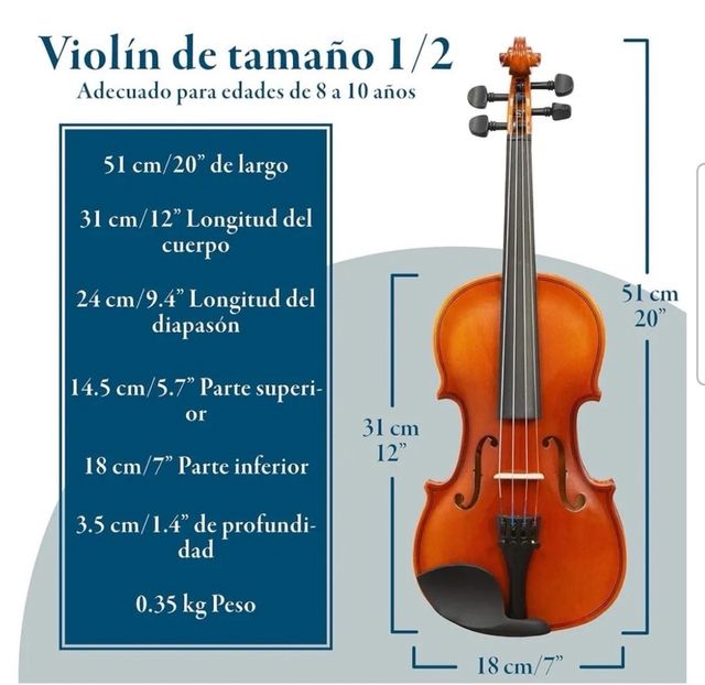 Violin