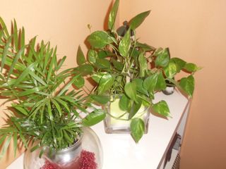 Cámara fotos BenQ y complementos