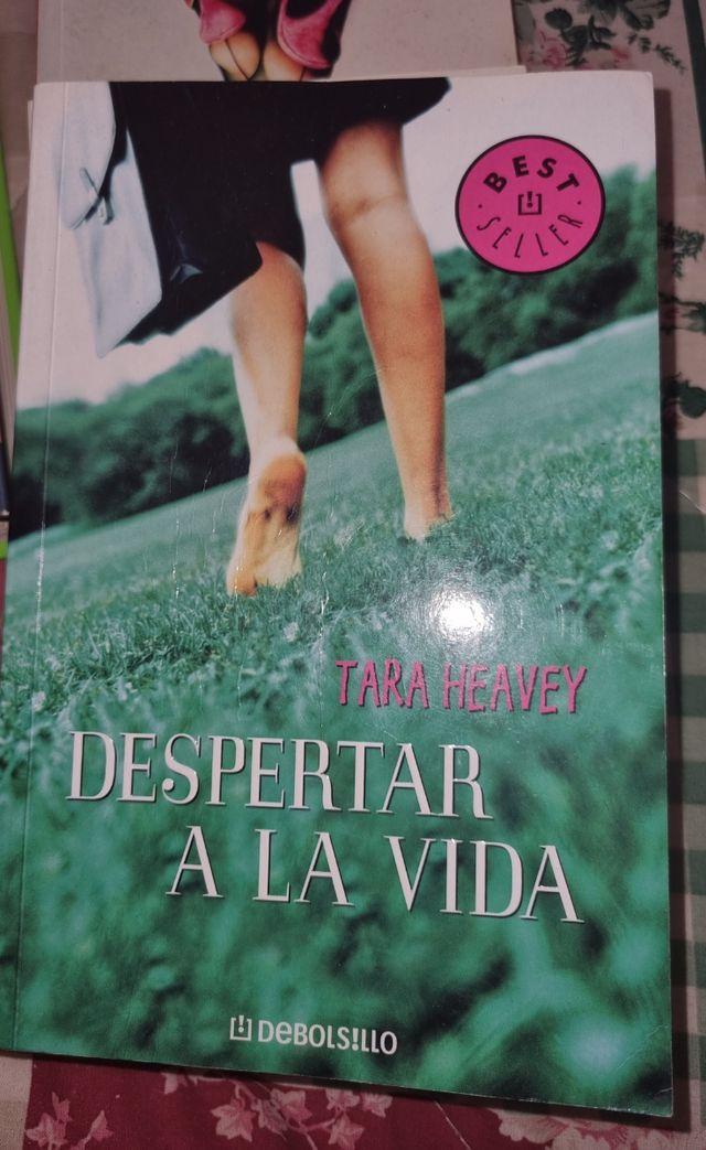 Lote 4 libros novelas