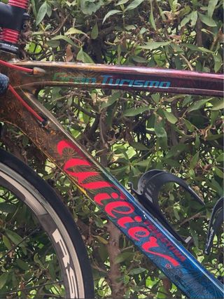 Bicicleta Wilier Triestina