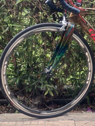 Bicicleta Wilier Triestina