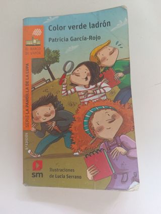 Libro Color Verde Ladrón