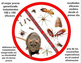 Control plagas total