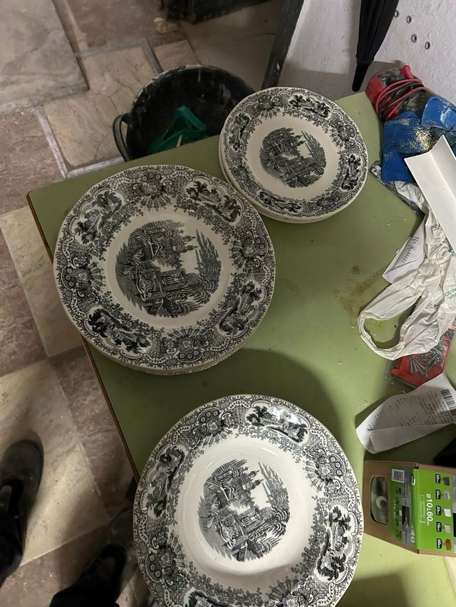 Platos vajilla la cartuja