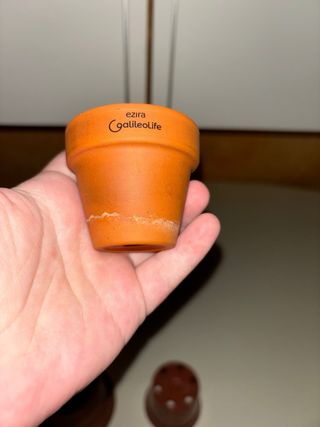 3 VASI TUTTI DIVERSI:1 in TERRACOTTA,2 in PLASTICA