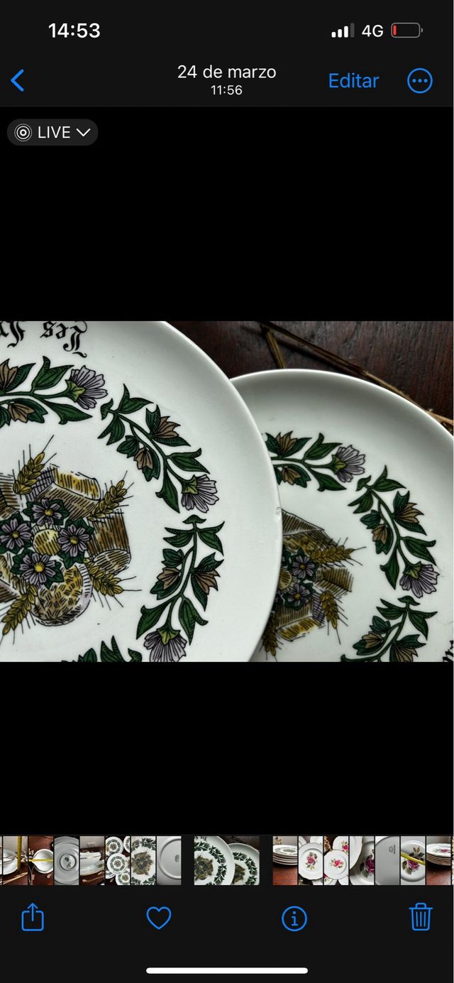 Platos de postre loza francesa Gien