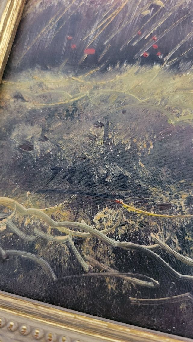 Cuadro Pintura Óleo T Trillo 78x56 cm