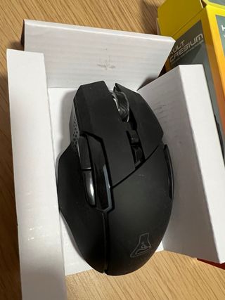 Raton Gaming