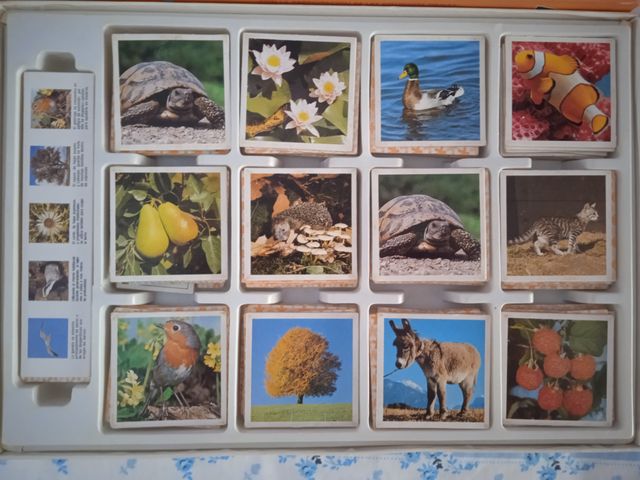 Juegos de mesa  Natur memory, Carnaval, Diverlimp