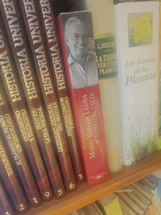 Libro EL SUELO DEL CELTA. Vargas Llosa