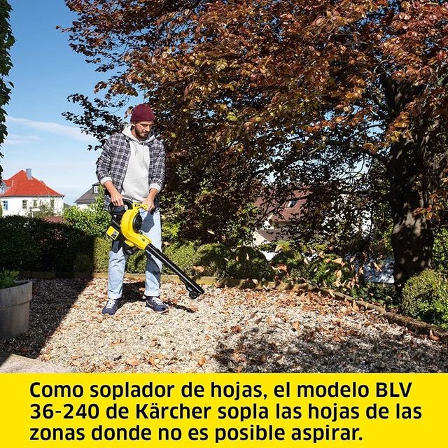 Kärcher 36 V Soplador aspirador BLV 36