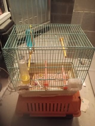 Vengo gabbia uccelliini e 2 trasportini