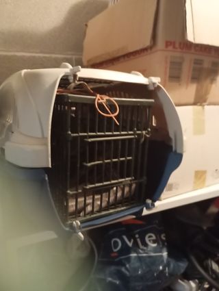 Vengo gabbia uccelliini e 2 trasportini