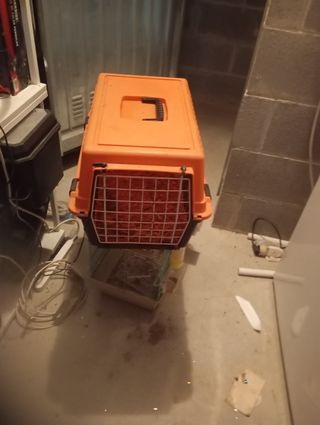 Vengo gabbia uccelliini e 2 trasportini