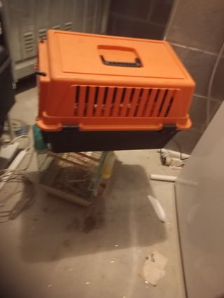 Vengo gabbia uccelliini e 2 trasportini