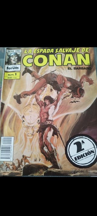 La espada salvaje Conan el bárbaro