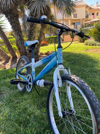 Bicicleta Jl Wenti 20"