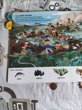 Libro Animales marinos