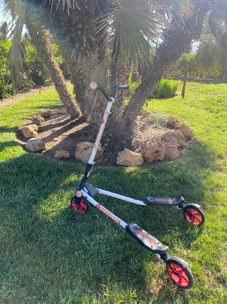 Patinete doble fliker 