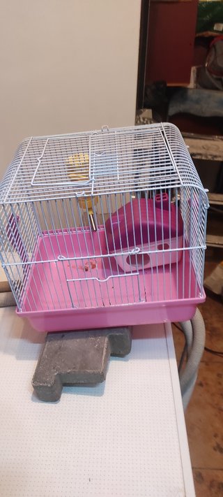 Jaula de trasporte de hamster