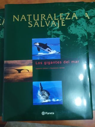 Colección naturaleza salvaje
