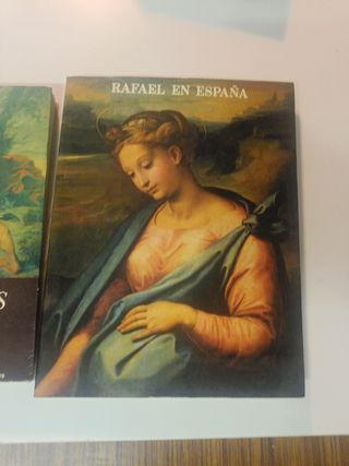 Lote libros Arte