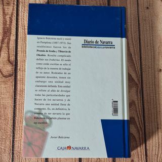 Iruñerias los gigantes de Pamplona.