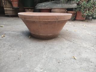 Lebrillo de gran tamaño para maceta, plantas 