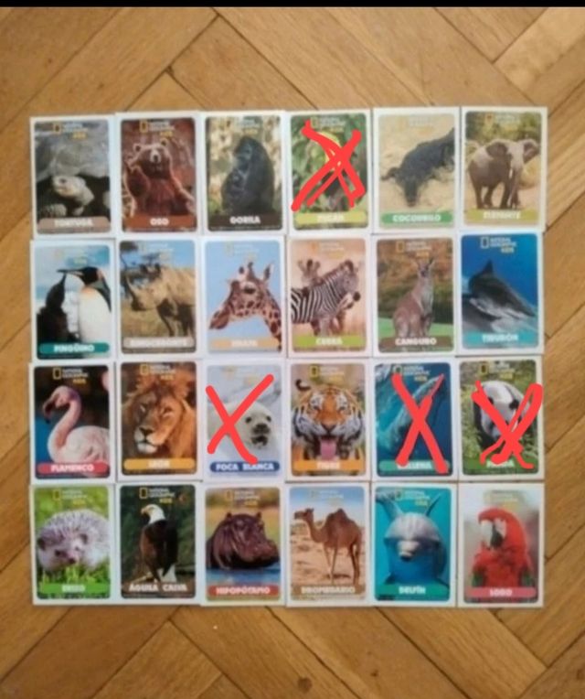 Cromos y figuras National Geographic  kids