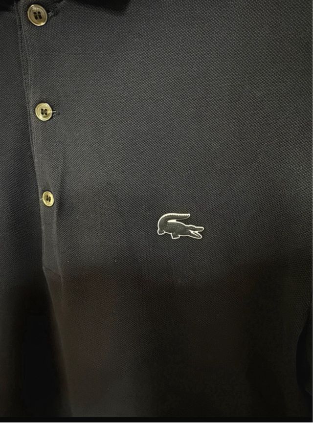 Lacoste polo uomo
