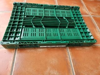 Cajas plegables