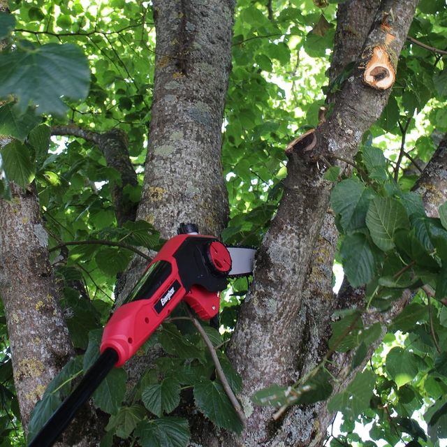 Podadora eléctrica Energizer EZ40VELPN