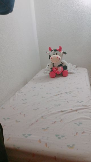 Cama Nido