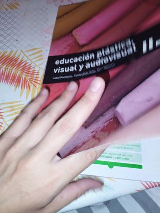 Libro 2° Eso Educación Plástica 