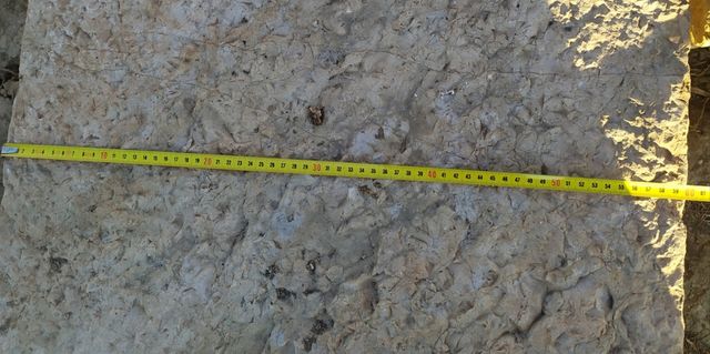 Piedra antigua(suelo)