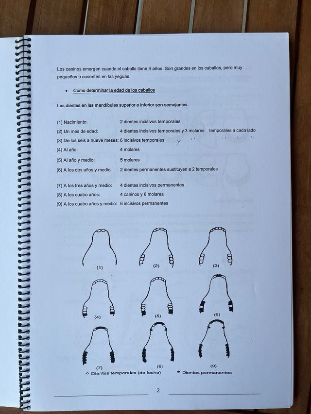Libro de Conducción de grupos a caballo