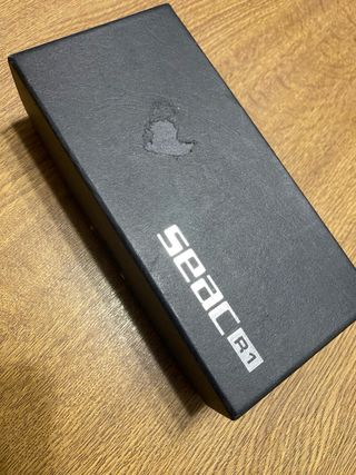 LINTERNA SEAC R1 Sumergible